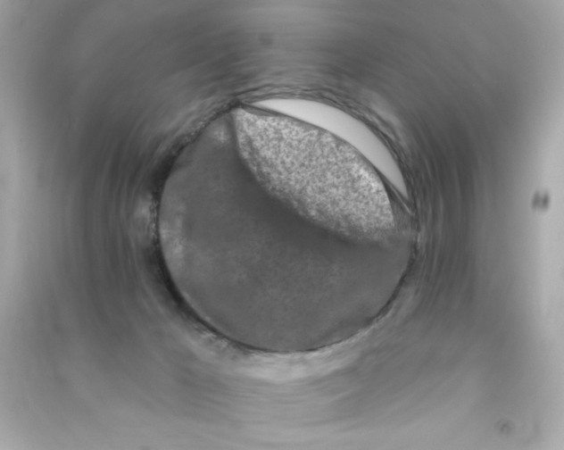 X0000090500029200708102251