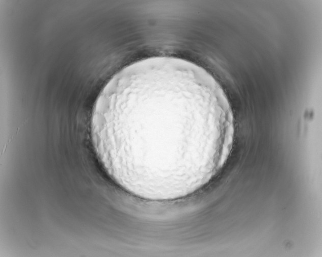 X0000090500030200708102251