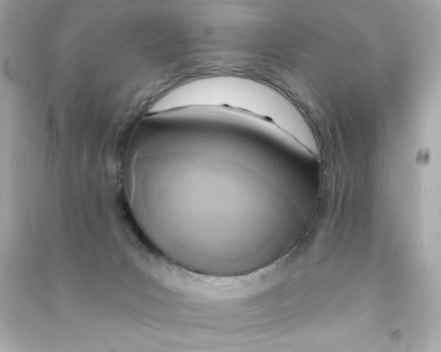 X0000090500031200708102251