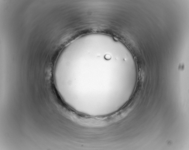 X0000090500032200708102251