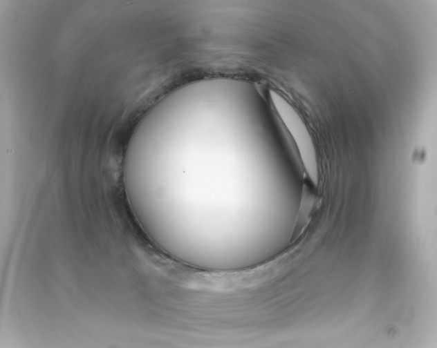 X0000090500033200708102251
