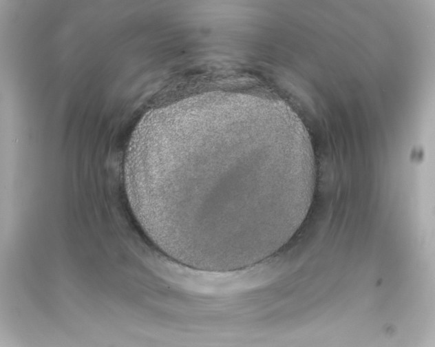 X0000090500034200708102251