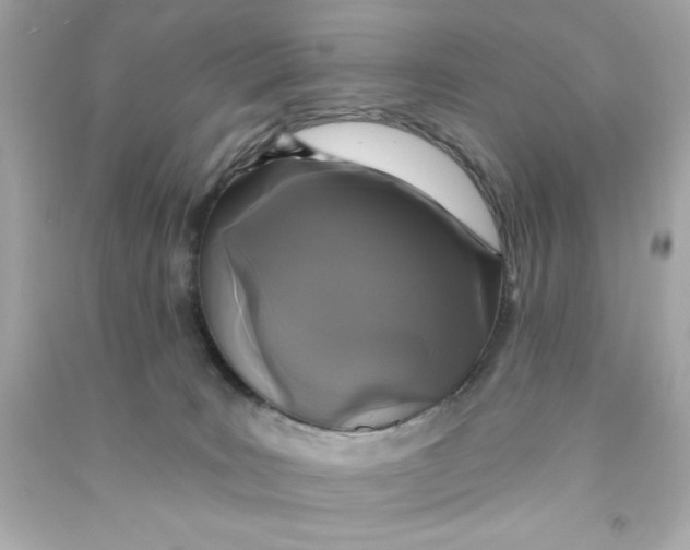 X0000090500035200708102251