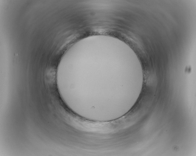 X0000090500036200708102251
