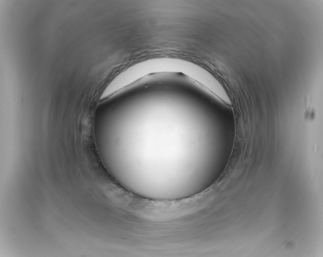 X0000090500037200708102251