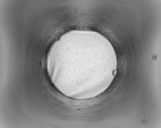 X0000090500038200708102250