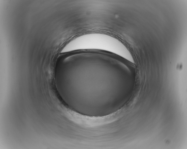 X0000090500039200708102250