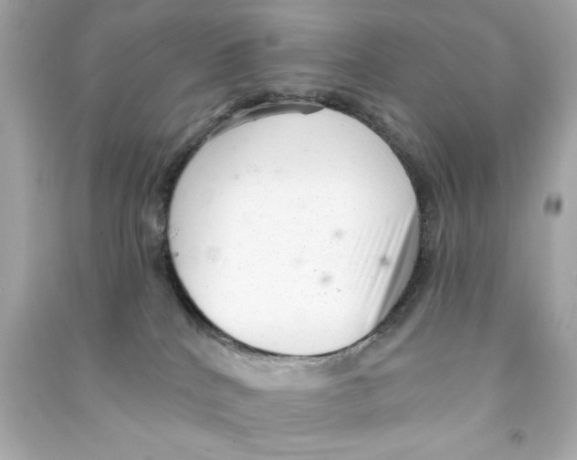 X0000090500040200708102250