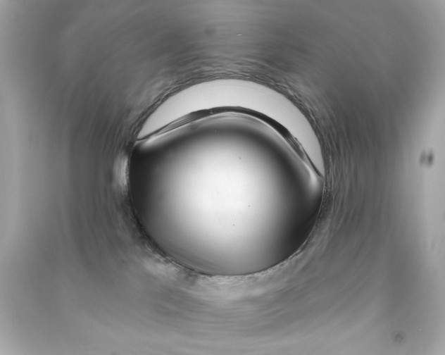 X0000090500041200708102250