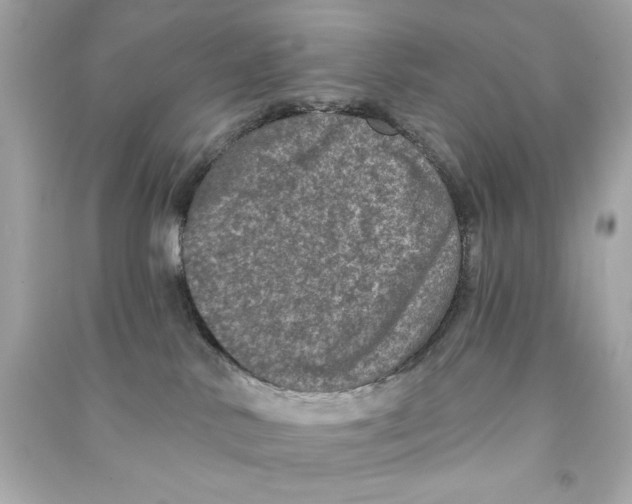 X0000090500042200708102250