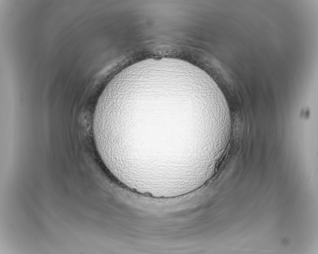 X0000090500043200708102250