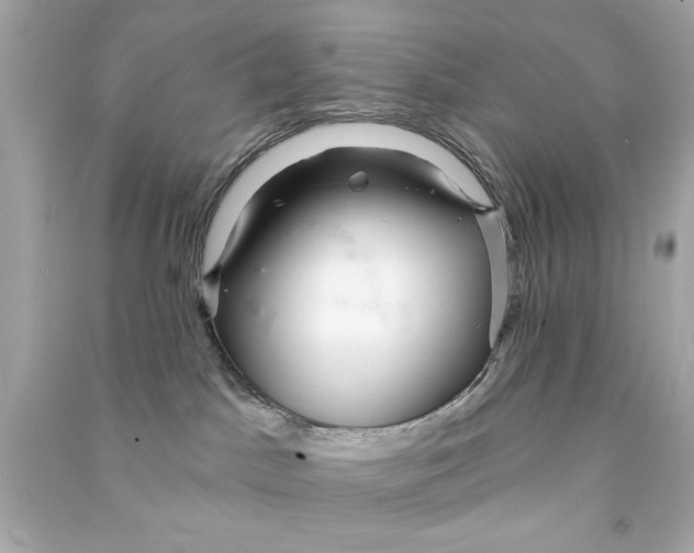 X0000090500045200708102250