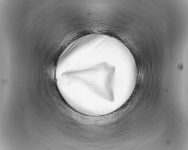 X0000090500046200708102250
