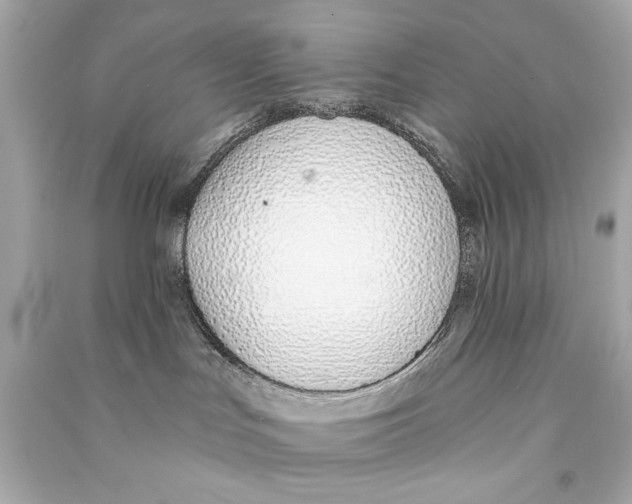 X0000090500047200708102250