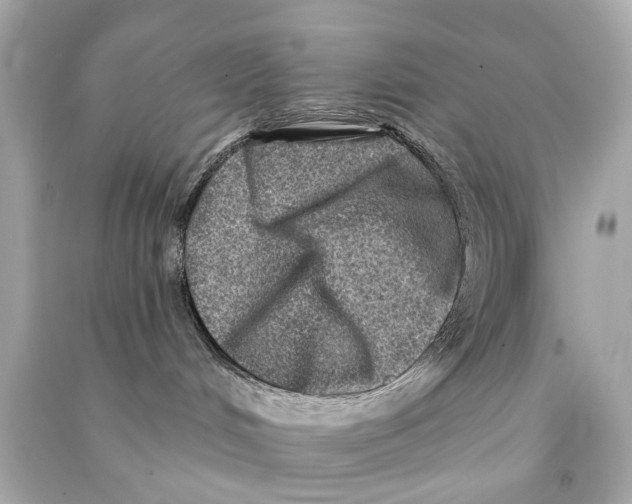 X0000090500048200708102250