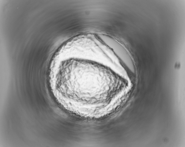 X0000090500049200708102250