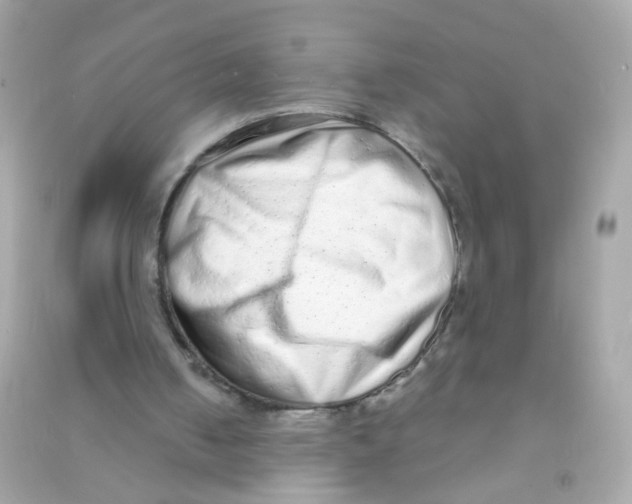 X0000090500050200708102250