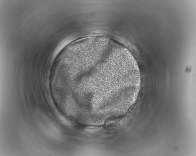X0000090500051200708102250
