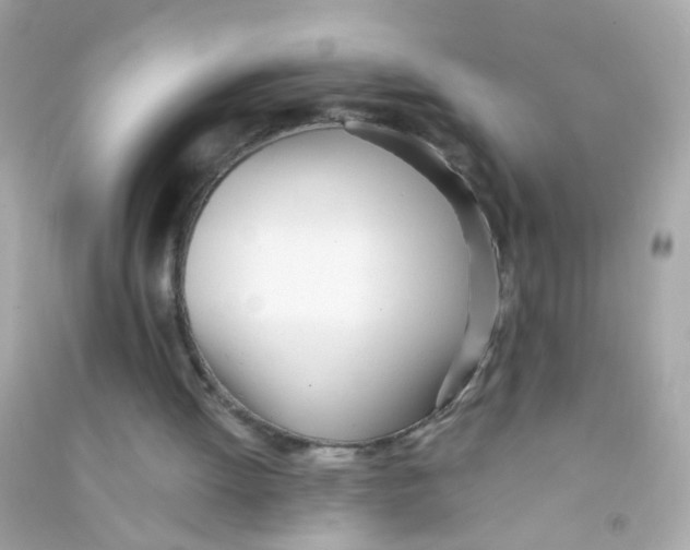 X0000090500052200708102250