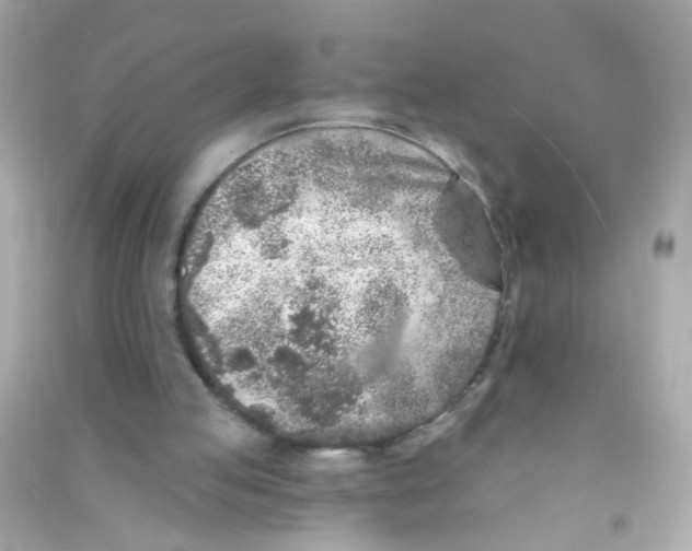 X0000090500053200708102250