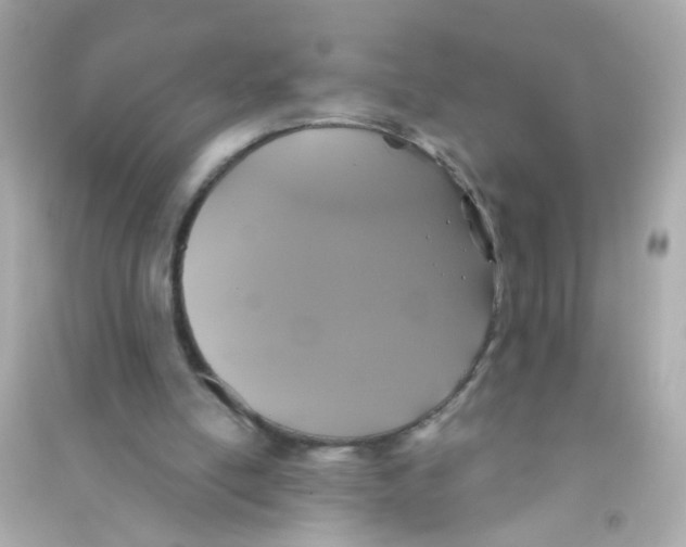 X0000090500054200708102250