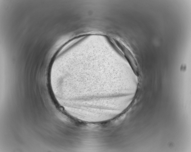 X0000090500055200708102250
