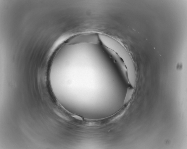 X0000090500056200708102250