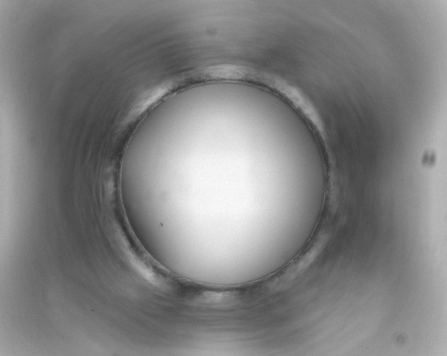 X0000090500057200708102250