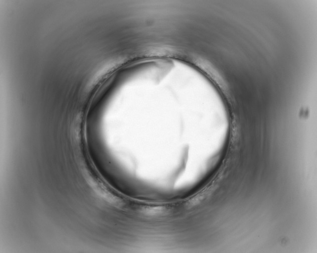 X0000090500058200708102250