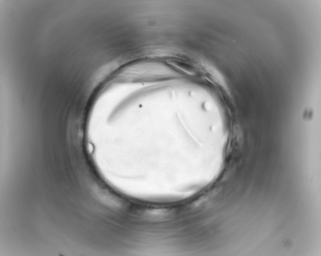 X0000090500059200708102250