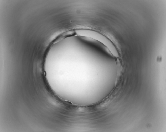 X0000090500060200708102250