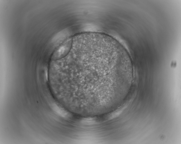 X0000090500061200708102250