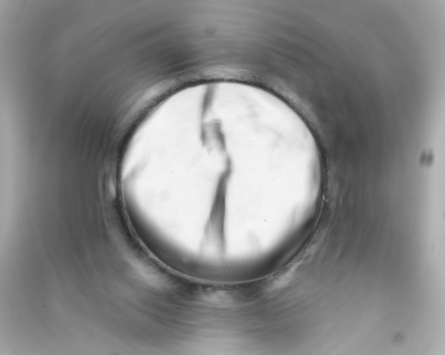 X0000090500062200708102250