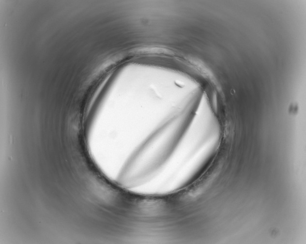 X0000090500063200708102250