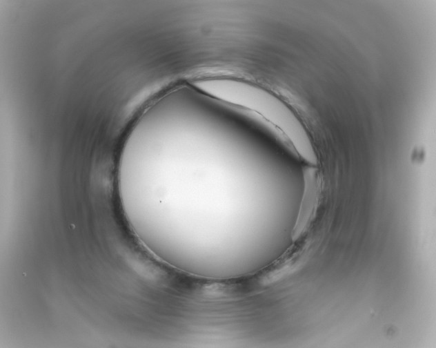 X0000090500064200708102250