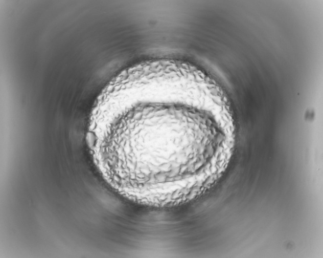 X0000090500065200708102250