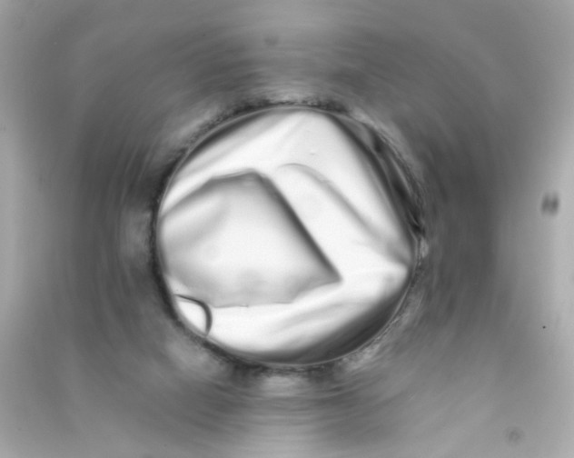 X0000090500066200708102250