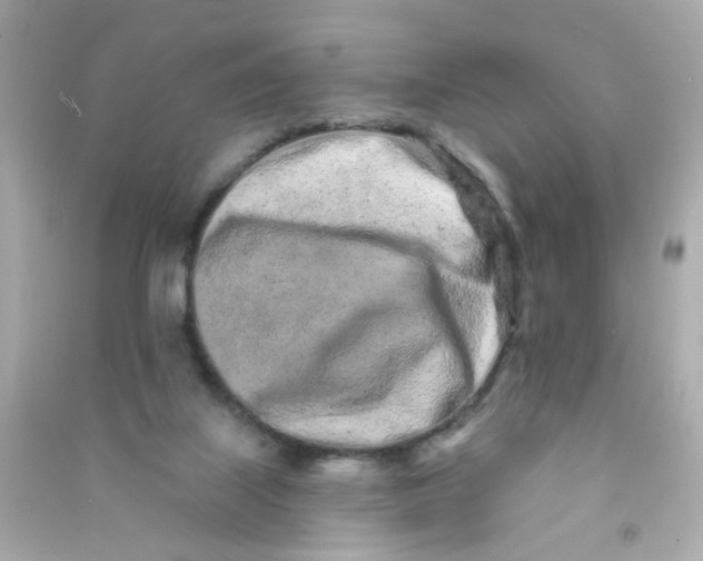 X0000090500067200708102250