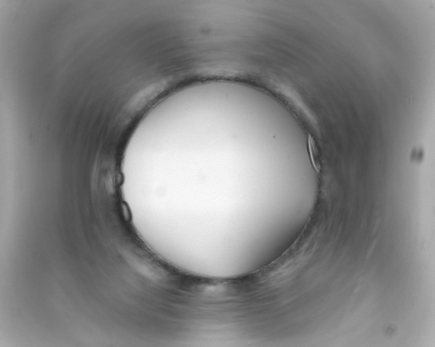X0000090500068200708102250