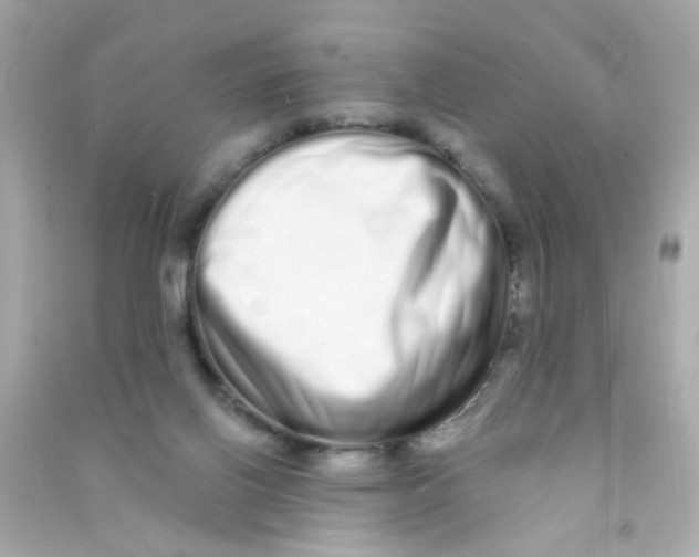 X0000090500070200708102250