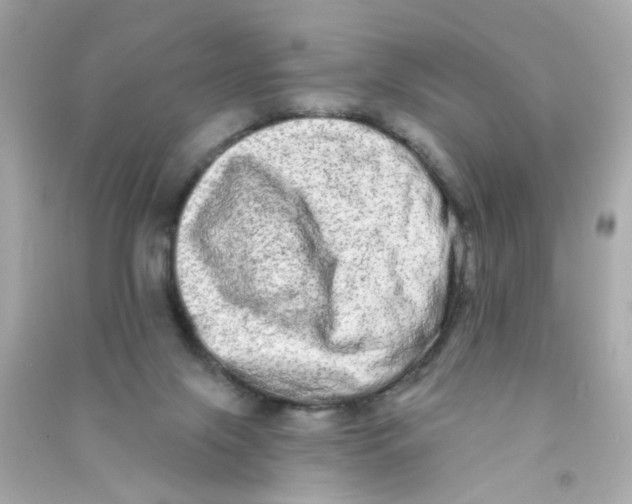 X0000090500071200708102250