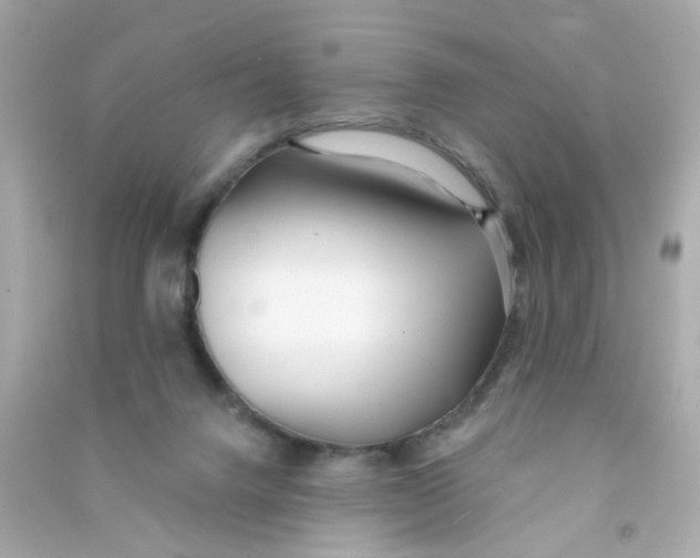 X0000090500072200708102250
