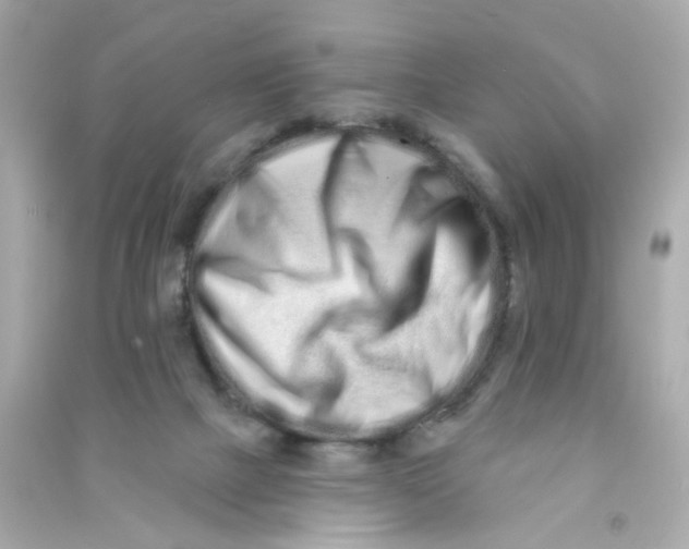 X0000090500073200708102250