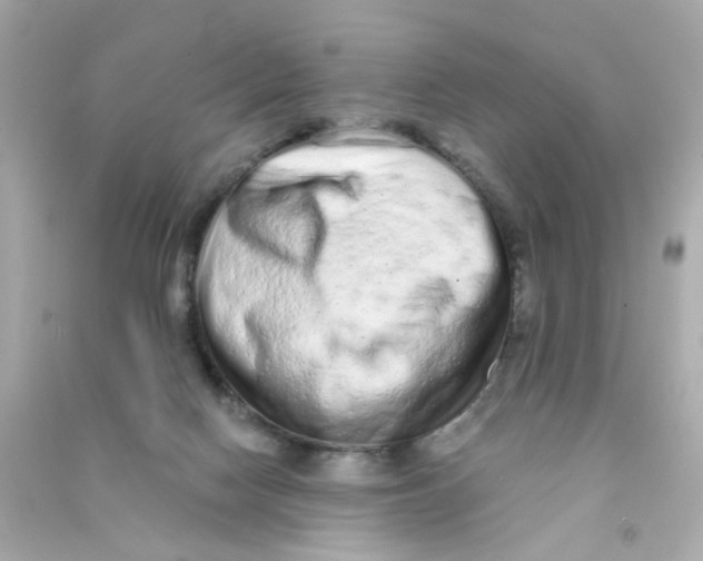 X0000090500074200708102250