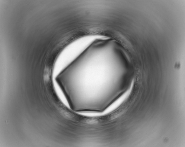 X0000090500075200708102250