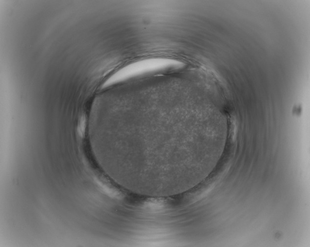 X0000090500076200708102250