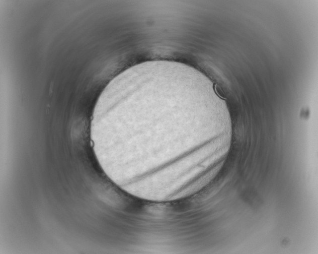 X0000090500079200708102250