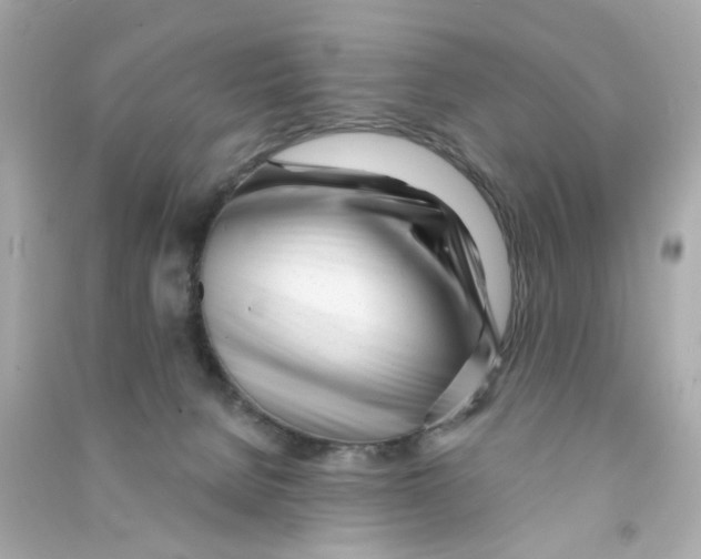 X0000090500080200708102250