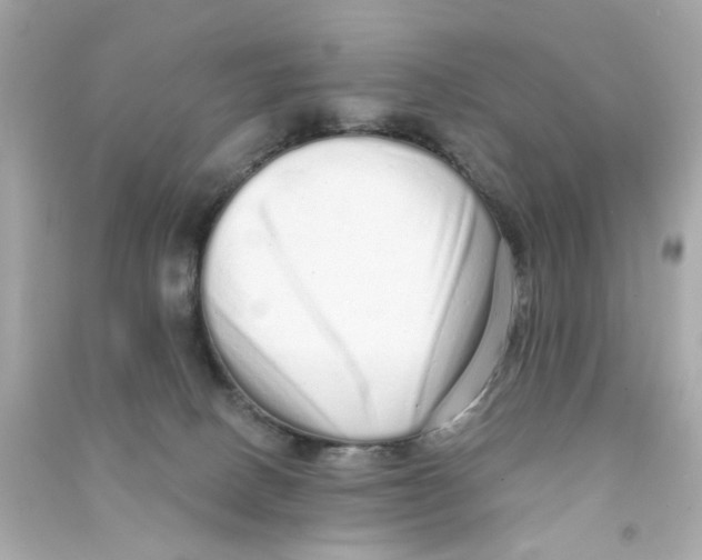 X0000090500082200708102250