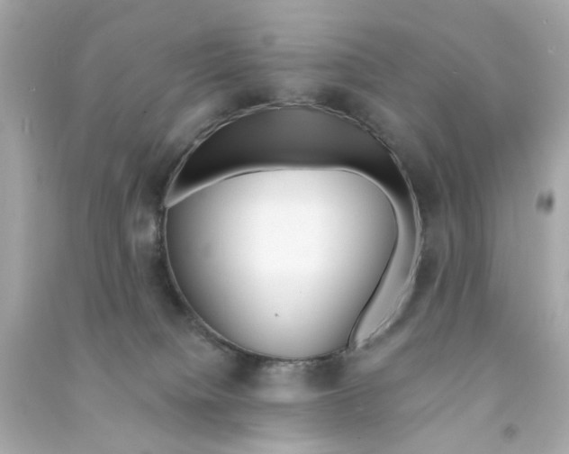 X0000090500084200708102250